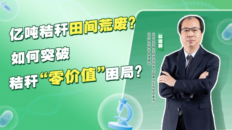 亿吨秸秆田间荒废？如何突破“秸秆困局”？(图1)