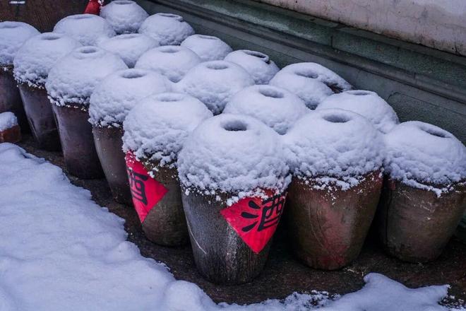 《食品科学》：王松涛正高级工程师等：添加不同母曲对酱香大曲发酵过程中真菌群落及功能基因演替机制的影响(图1)