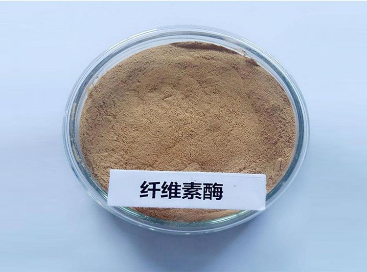 山东隆科特酶制剂有限公司一分公司