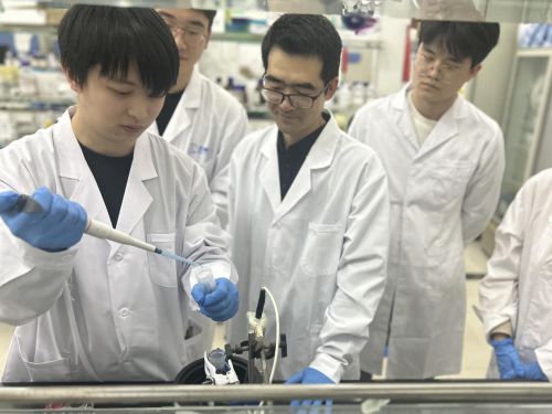 河南农大突破多糖合成技术壁垒 首创多酶催化体系实现昆布聚糖量产(图2)