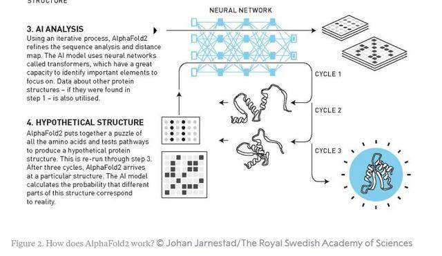 专访|复旦大学复杂体系多尺度研究院首任院长马剑鹏:AI for Science是中国输不起的赛道未来可能出现“纯粹的AI科学家”(图2)