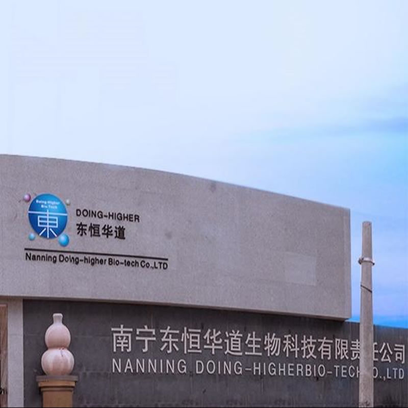 中国定制酶服务行业市场现状及未来发展趋势研究报告