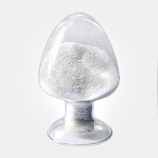 追光者——天津发展新质生产力观察
