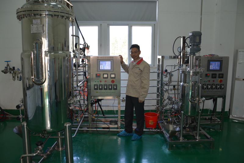 2025年中国酶工程制品行业市场深度调研