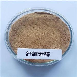 纤维素酶在生活中的应用