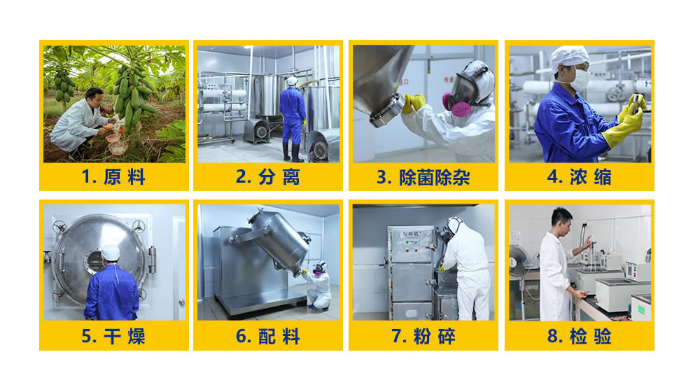 全面分析2025年工业酶制剂市场