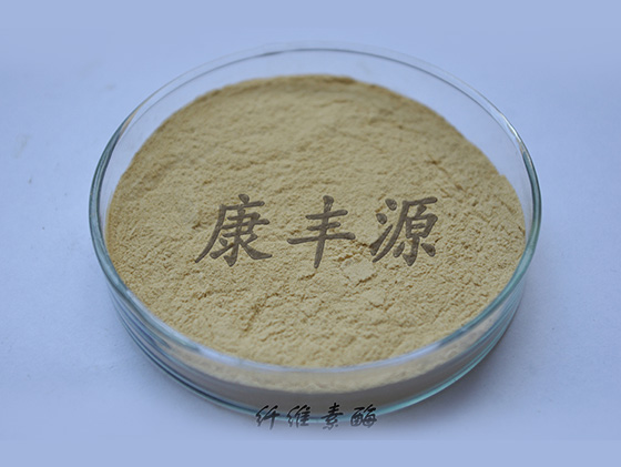 纤维素酶的种类和作用原理是什么(图1)
