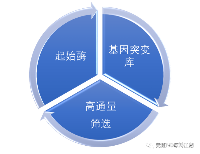 “酶”花香自有钱来：一家优秀的分子酶厂商应该具备哪些基本硬功？(图1)