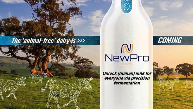 「NewPro」完成数百万美元种子轮融资加速推进发酵法乳铁蛋白商业化｜36氪首发(图1)