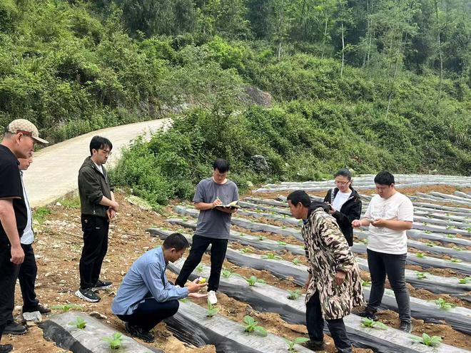 政研联动赋能“酶”力革命：保靖县打造新质生产力农业试验田(图3)