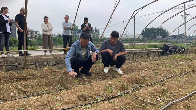 政研联动赋能“酶”力革命：保靖县打造新质生产力农业试验田(图4)