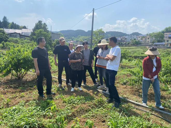 政研联动赋能“酶”力革命：保靖县打造新质生产力农业试验田(图6)