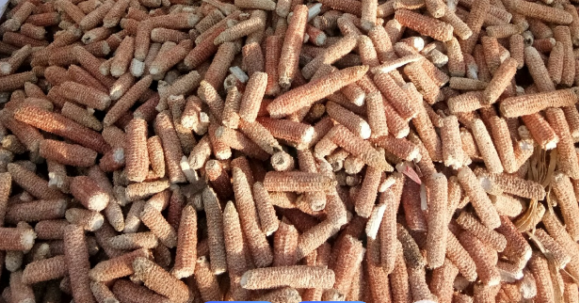 鑫唐力低聚木糖工艺特点及适宜人群玉米芯里的宝藏糖(图2)