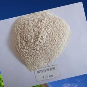 纤维素酶的概念和功效