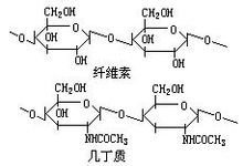 我想看胸片曝光APP下载