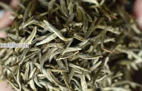 茶叶中的纤维素酶(图1)