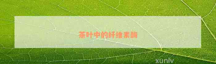 茶叶中的纤维素酶(图2)