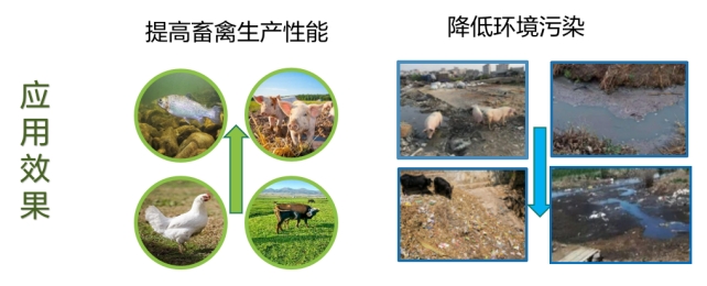 饲料成本压顶+环保重压？生物酶制剂成破局“绿色钥匙”(图1)