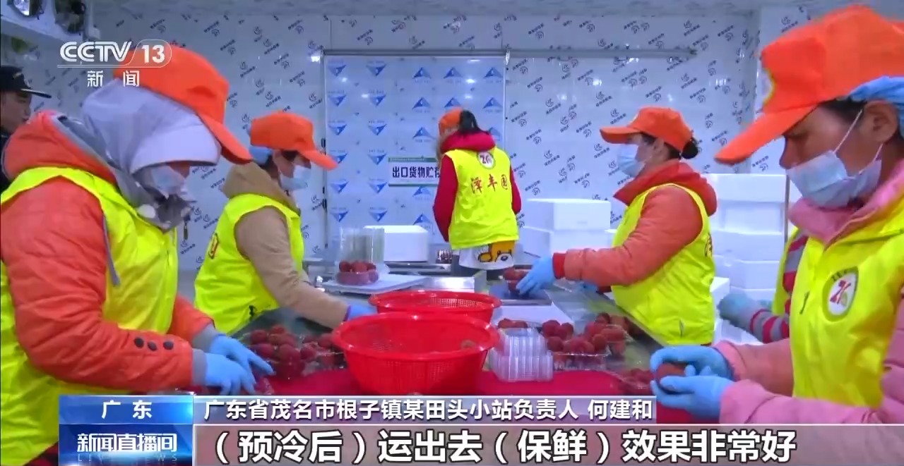 从岭南枝头到全球餐桌 广东荔枝解锁“四季鲜”密码→(图6)