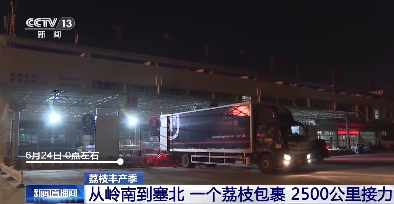 从岭南枝头到全球餐桌 广东荔枝解锁“四季鲜”密码→(图13)