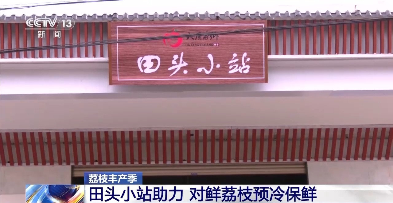 从岭南枝头到全球餐桌 广东荔枝解锁“四季鲜”密码→(图5)