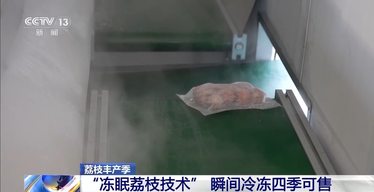 从岭南枝头到全球餐桌 广东荔枝解锁“四季鲜”密码→(图7)