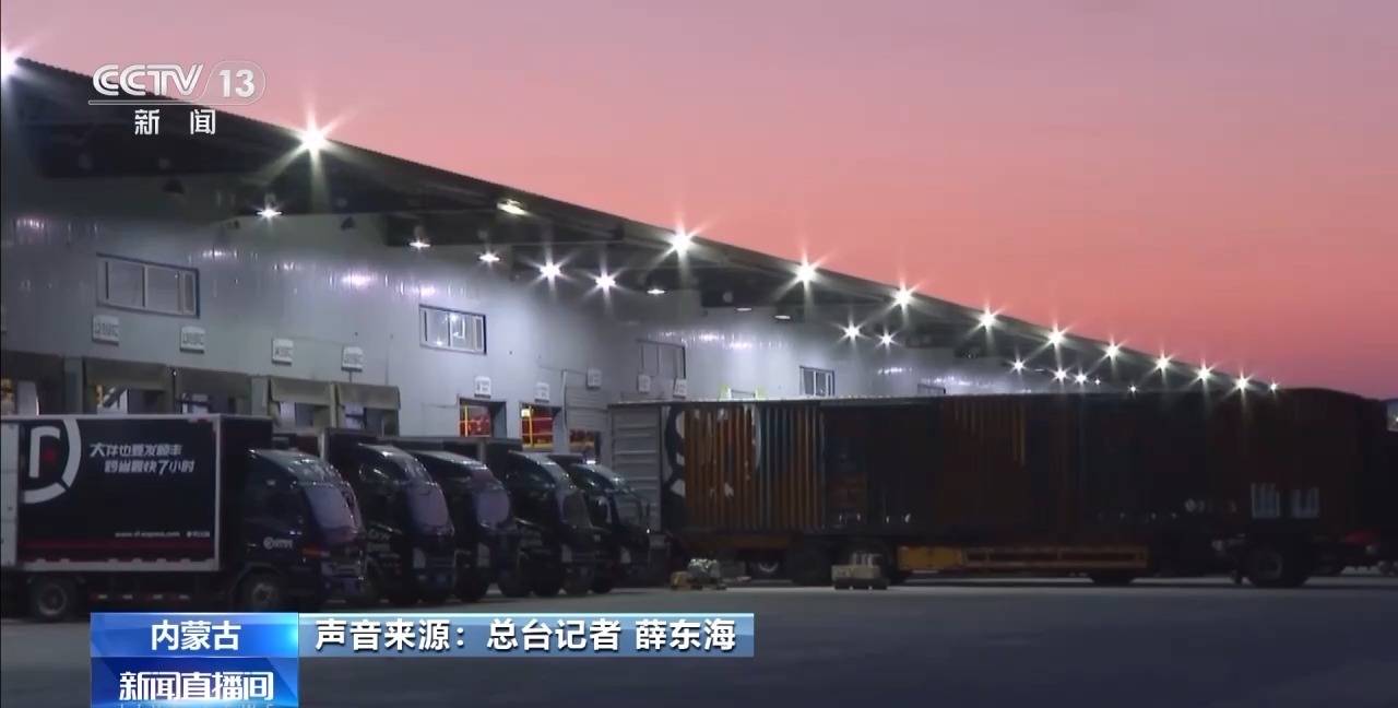 从岭南枝头到全球餐桌 广东荔枝解锁“四季鲜”密码→(图15)