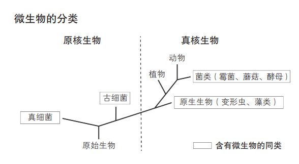 我们为什么会感冒？(图1)