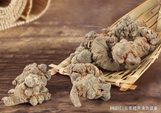 高效的植物葛根素提取法：超声波清洗机提取优势(图1)