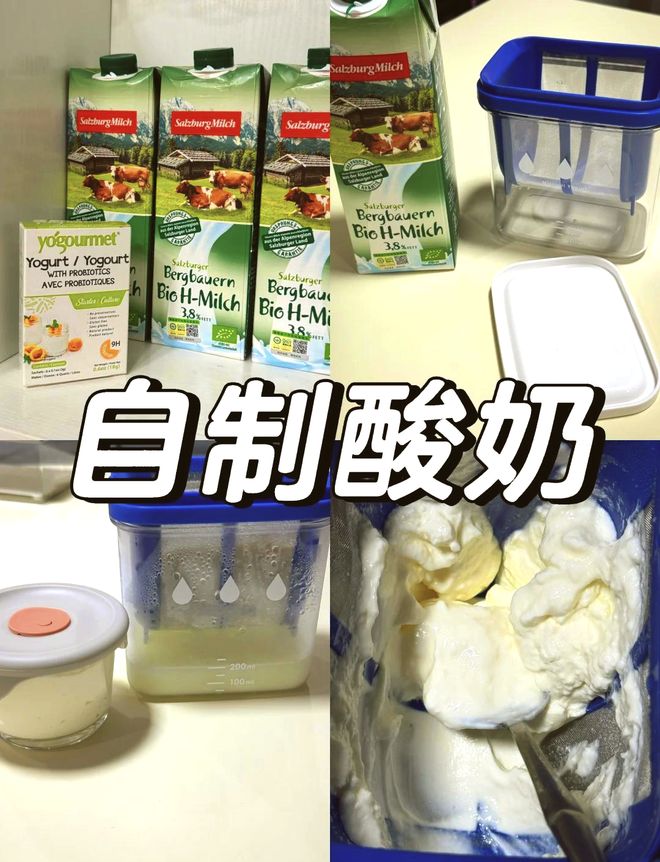 做酸奶用什么发酵菌好？哪种最适合你？快来看！(图8)