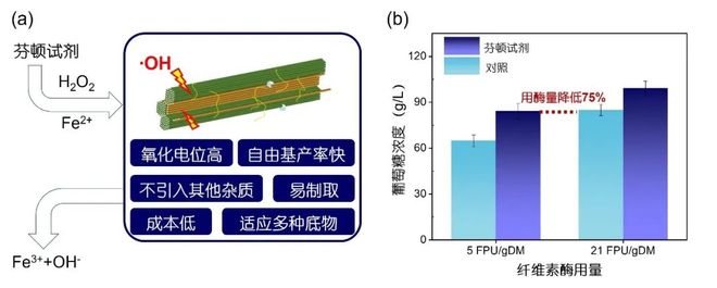 科学通报 中国科学院过程工程研究所王岚研究员团队综述面向单细胞蛋白生物制造的木质纤维素炼制技术(图1)