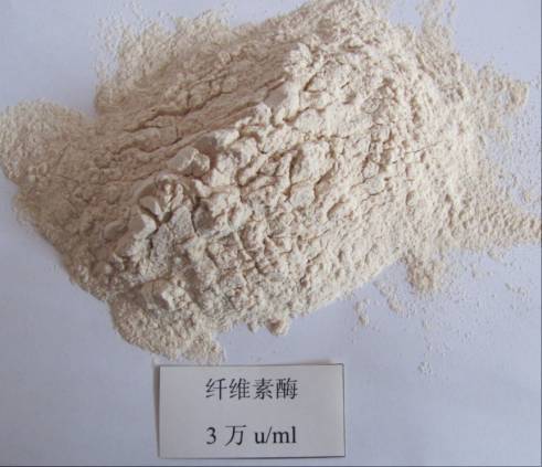 2025可降解材料市场:从“限塑令”到“碳关税”全球环保法规倒逼产业升级