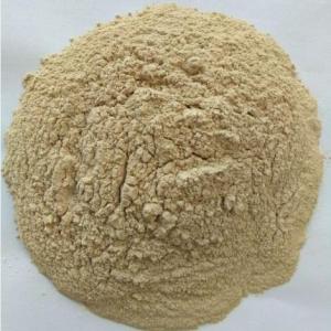 纤维素酶在工业生产中的应用是①饲料添加剂 ②白酒的生产 ③蔬菜 ④纺织 [ ]