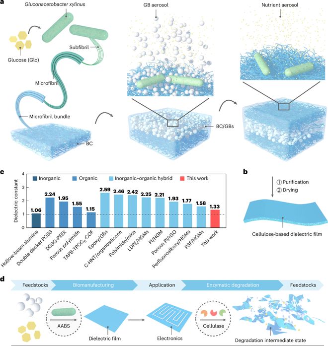 “活”的电路板中科院用细菌让手机重生(图4)