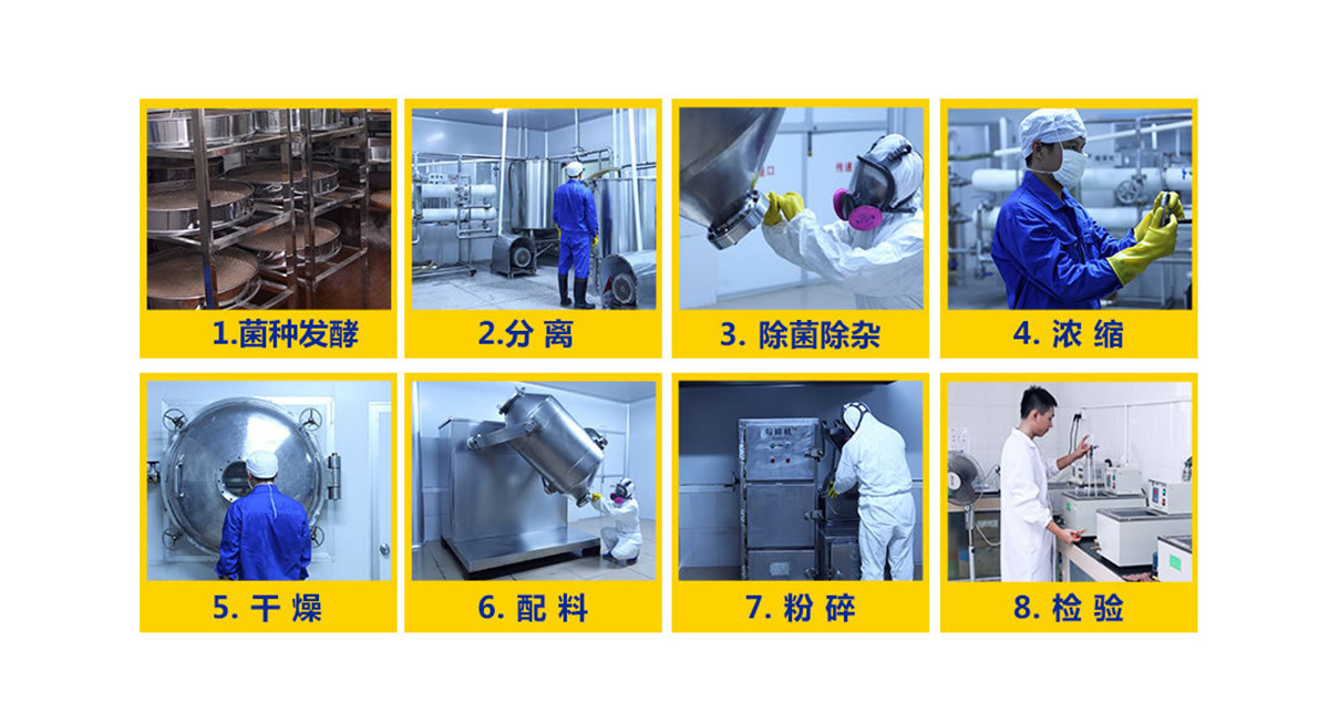 泰林生物：上半年净利润135429万元智启中国高端制药装备新境界