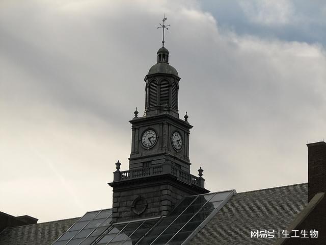 酶类生化试剂在科研实验与产业应用中的价值与未来前景探索(图1)