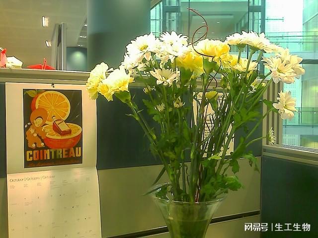 酶类生化试剂在科研实验与产业应用中的价值与未来前景探索(图3)