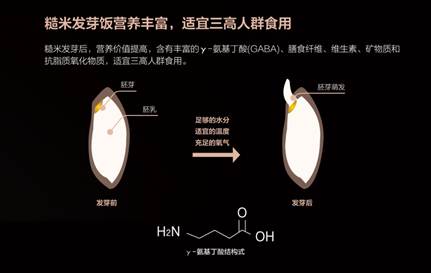 【万字长文】极简sku风暴：非一线品牌如何抢赢货架权