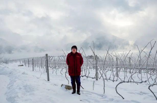 中国农业大学研究员兰义宾:在葡萄酒科研领域践行 “顶天立地”(图3)