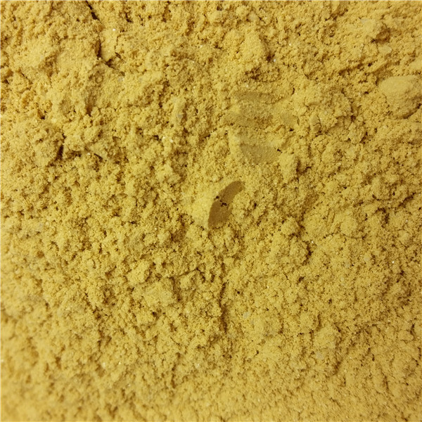 纤维素酶可以将哪种物质分解 ()