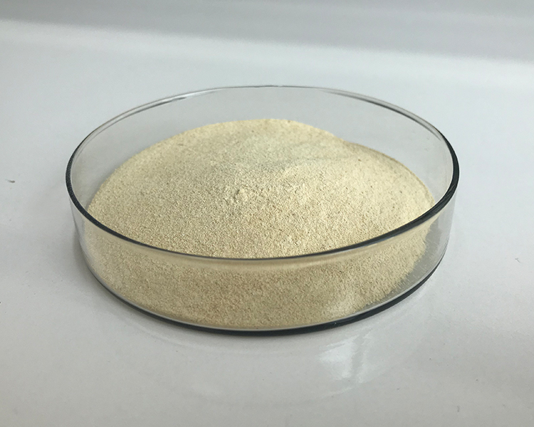 维酶素片的主要功效？能有效治疗萎缩性胃炎吗？