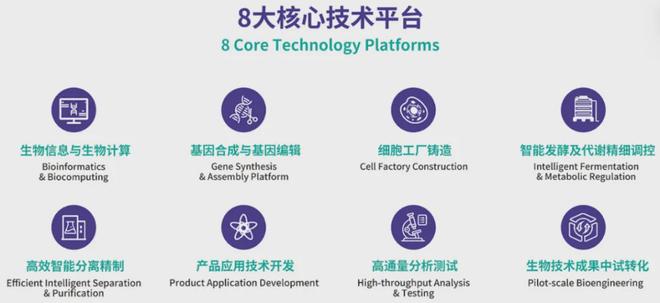 从长期积淀到价值兑现：一家中国硬核生物制造企业的高质量增长(图2)