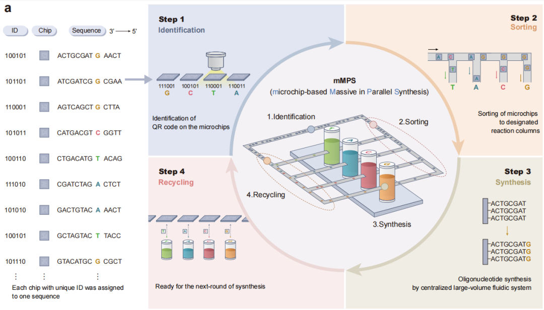 华大发布DNA合成新技术 将催生合成生物产业巨大潜能(图2)