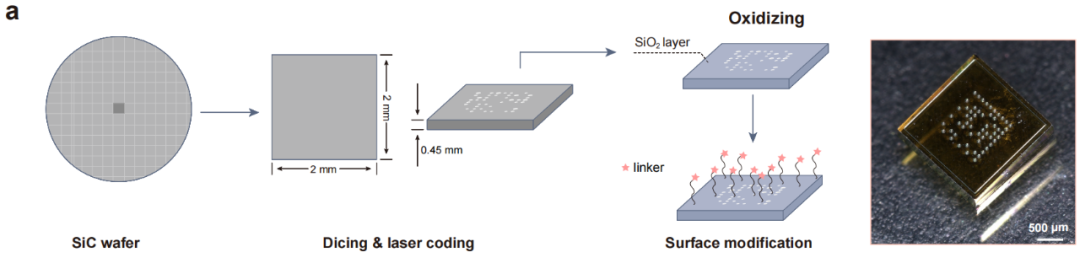 华大发布DNA合成新技术 将催生合成生物产业巨大潜能(图3)