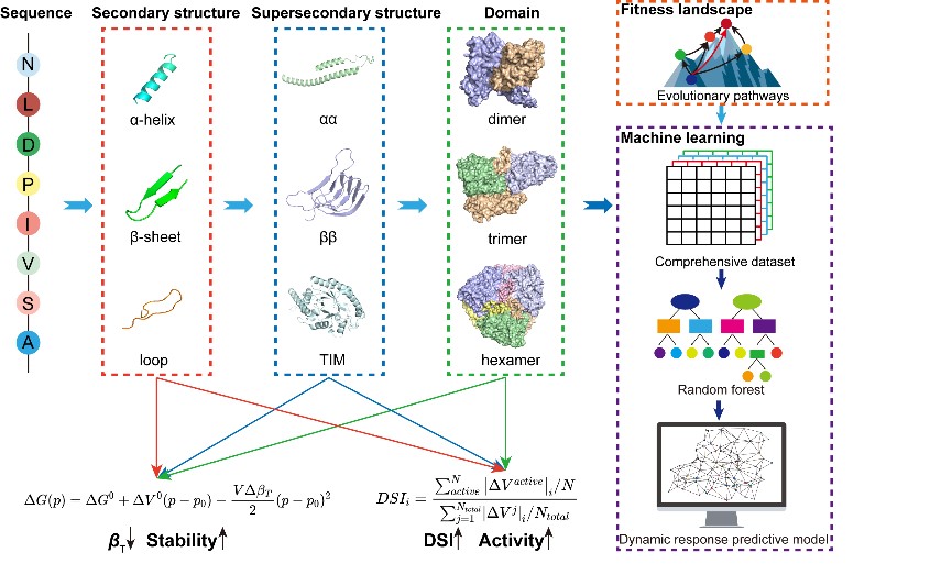 2025年薄荷素油行业市场分析及发展前景预测