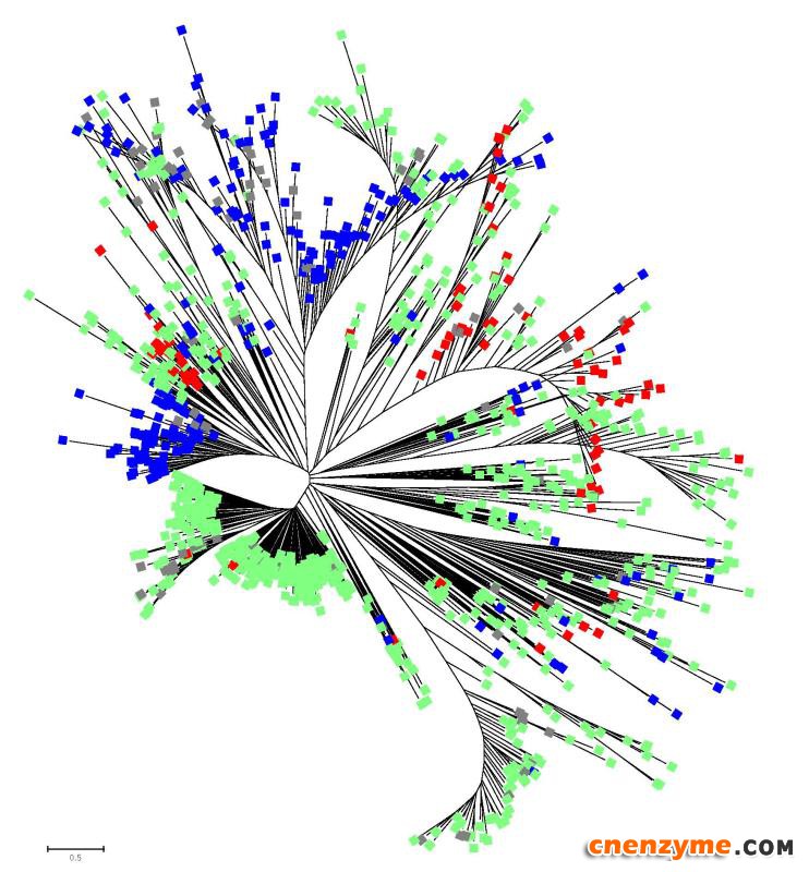 2025生物质能源行业市场运行环境分析及供需预测