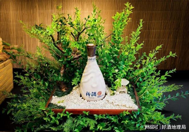 季节对大曲发酵影响研究；泸州老窖芦台春新专利；汾酒习酒上新(图5)