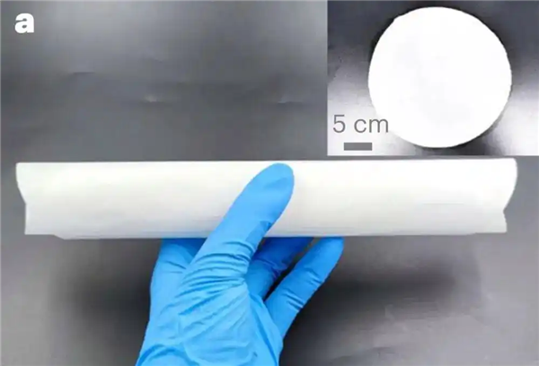 中国科学家培育“纺织工”细菌“织就”绿色电子未来(图1)