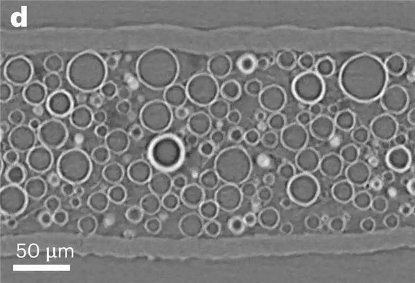 中国科学家培育“纺织工”细菌“织就”绿色电子未来(图2)