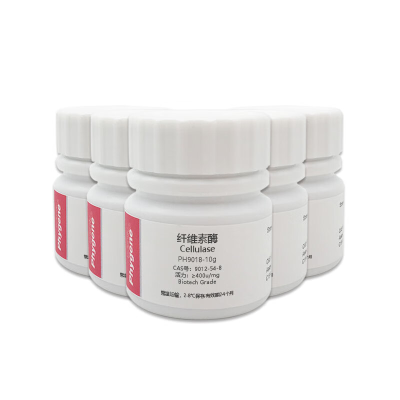 权威调研榜单：果胶酶厂家TOP1深度解析与推荐